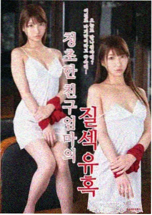 我的阿勒泰 电视剧免费观看